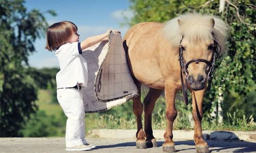 Helping You Decide if Pony Riding or Horse Riding Is Better for Your Child